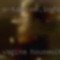 Vagina housewife